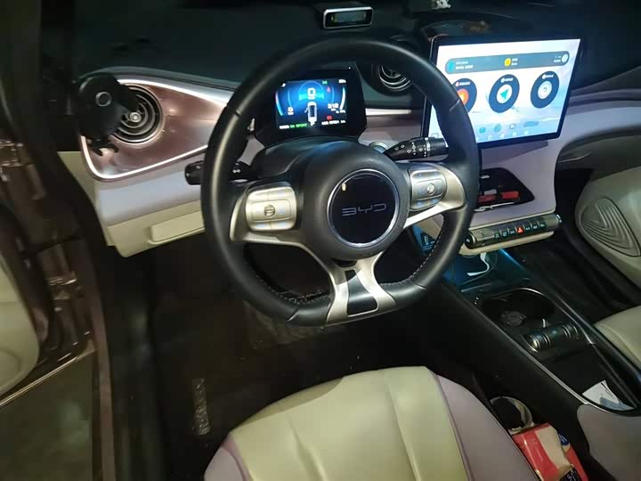 Фото 3 - BYD Dolphin