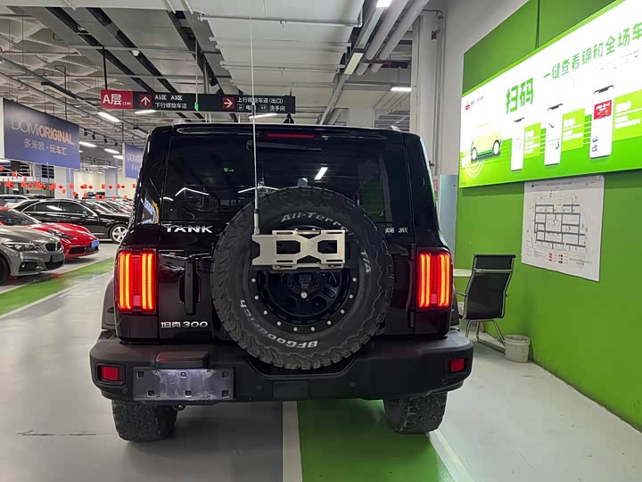 Фото 4 - Tank 300