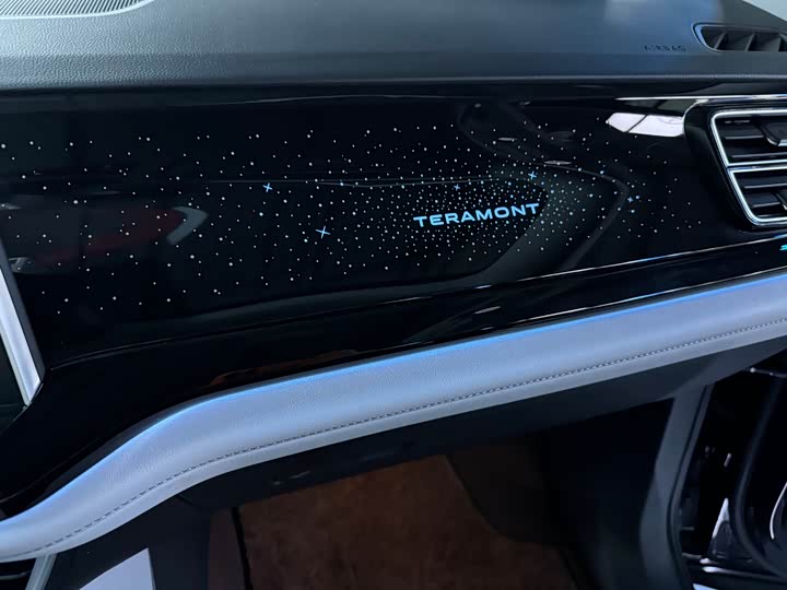 Фото 10 - Volkswagen Teramont Pro