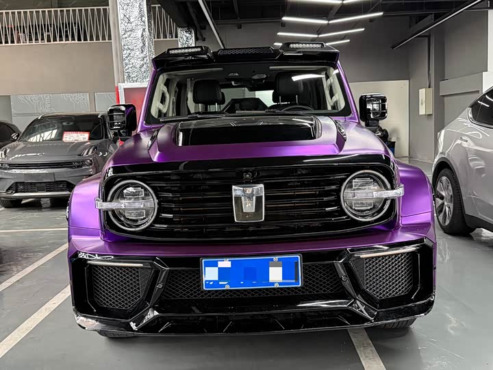 Фото 2 - Tank 300