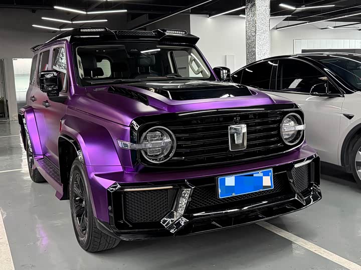 Фото 3 - Tank 300