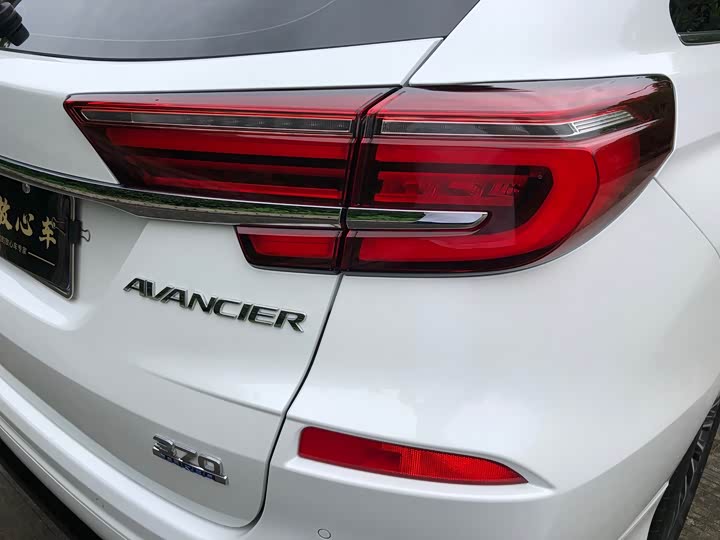 Фото 27 - Honda Avancier