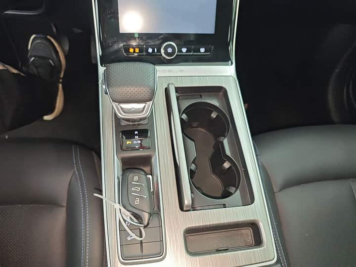 Фото 14 - Roewe RX5