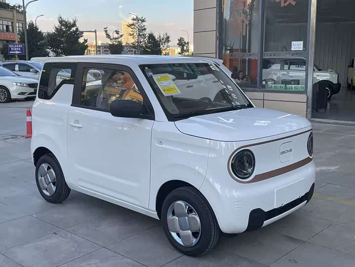 Фото 3 - Geely Galaxy Panda Mini