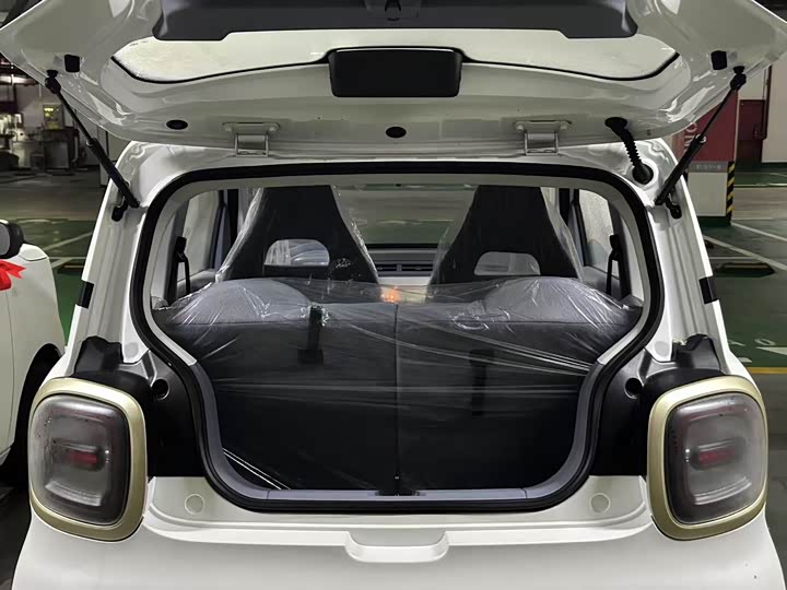 Фото 17 - Bestune Pony