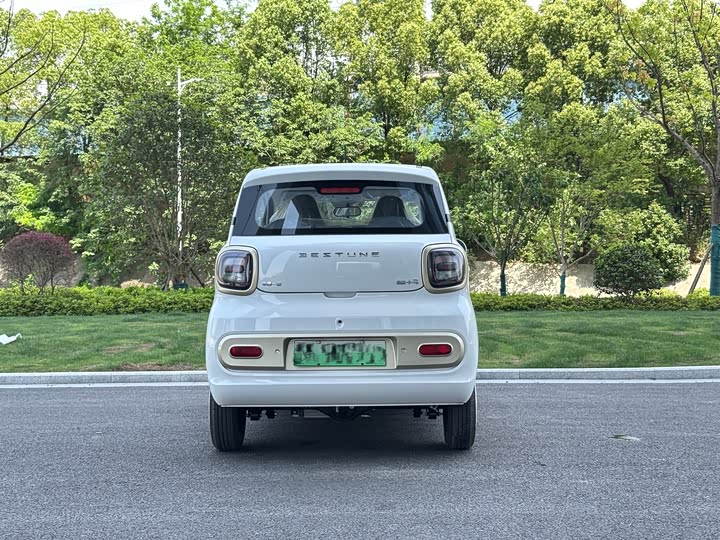 Фото 5 - Bestune Pony