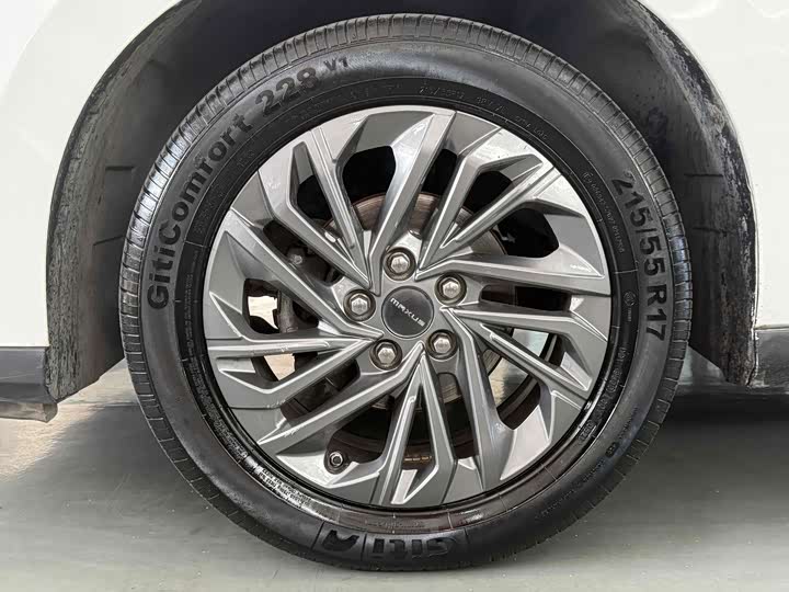 Фото 10 - Maxus G50