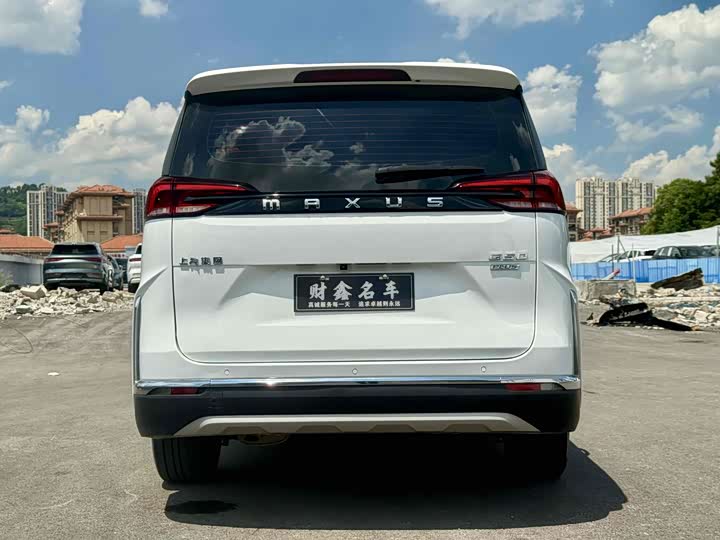 Фото 19 - Maxus G50