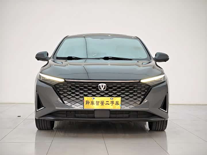 Фото 2 - Changan Raeton Plus