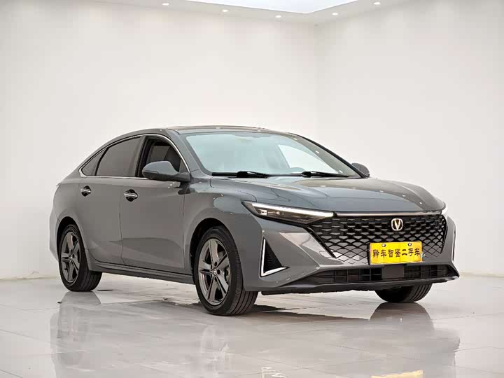 Фото 3 - Changan Raeton Plus