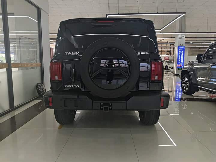 Фото 10 - Tank 300