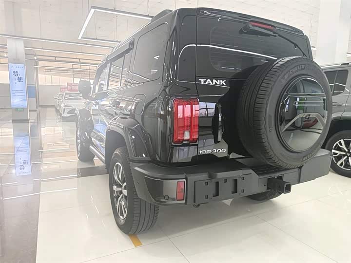 Фото 13 - Tank 300