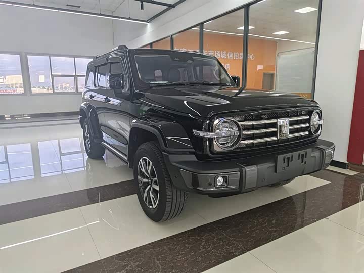 Фото 4 - Tank 300