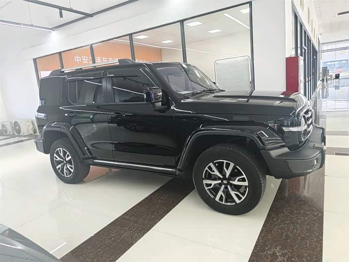 Фото 5 - Tank 300