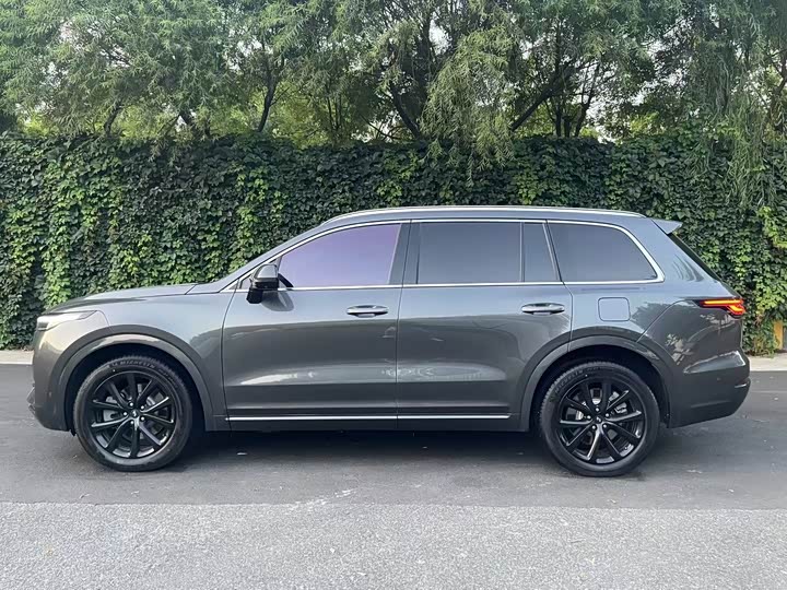 Фото 3 - LiXiang One