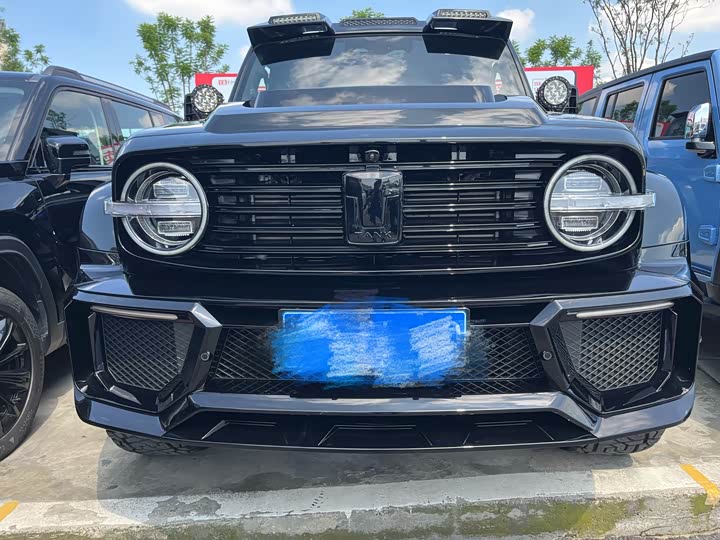 Фото 2 - Tank 300