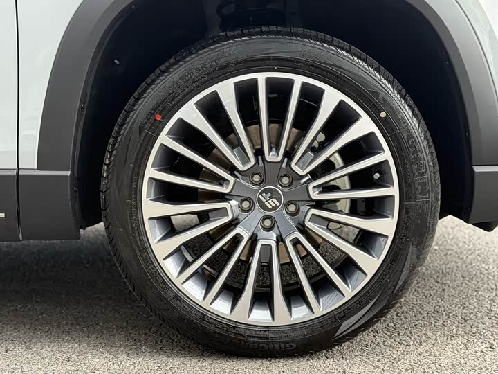 Фото 9 - Jetour Shanhai L9