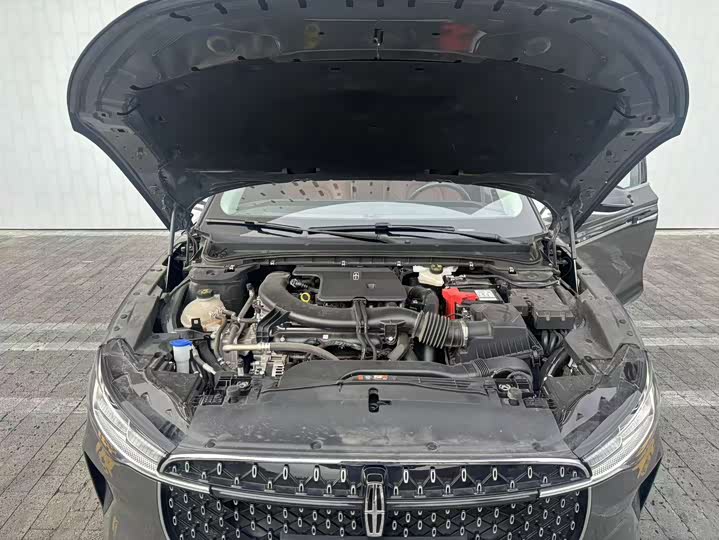 Photo 11 - Lincoln Z (Zephyr)