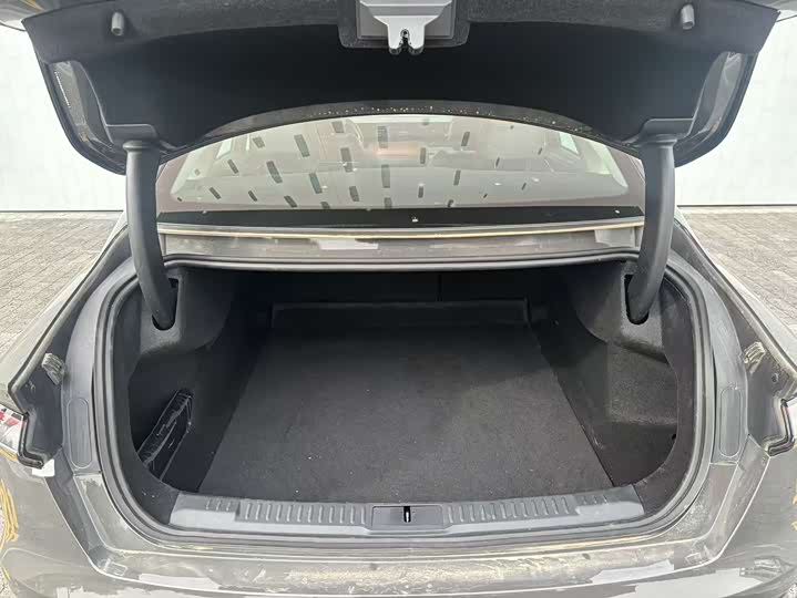 Photo 8 - Lincoln Z (Zephyr)