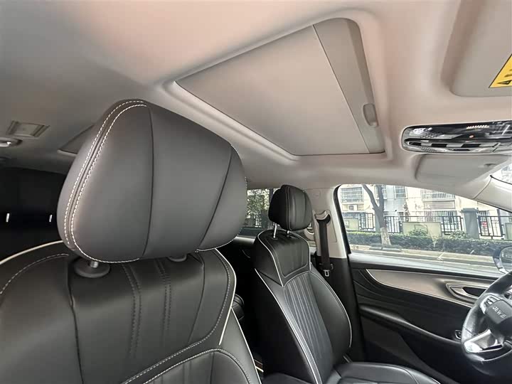 Фото 24 - Roewe iMax 8