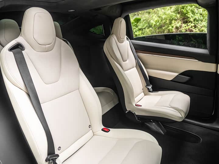 Фото 16 - Tesla Model X