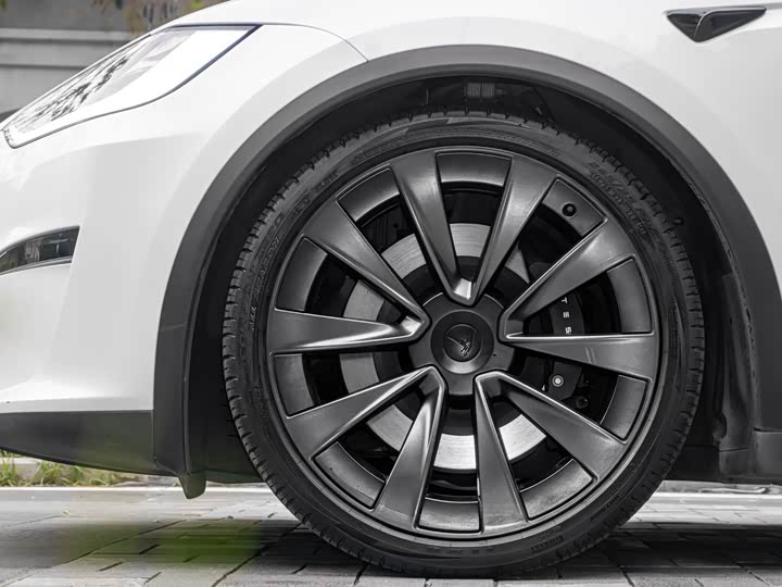 Фото 18 - Tesla Model X