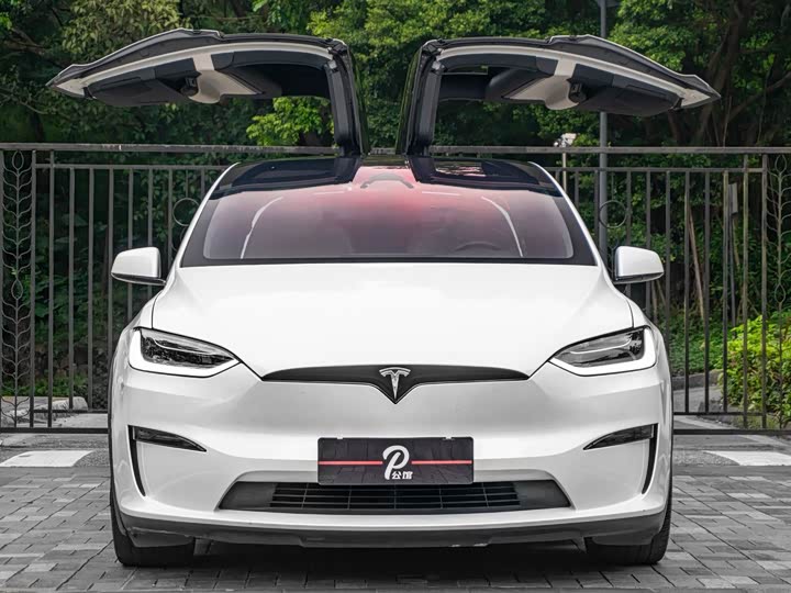 Фото 2 - Tesla Model X