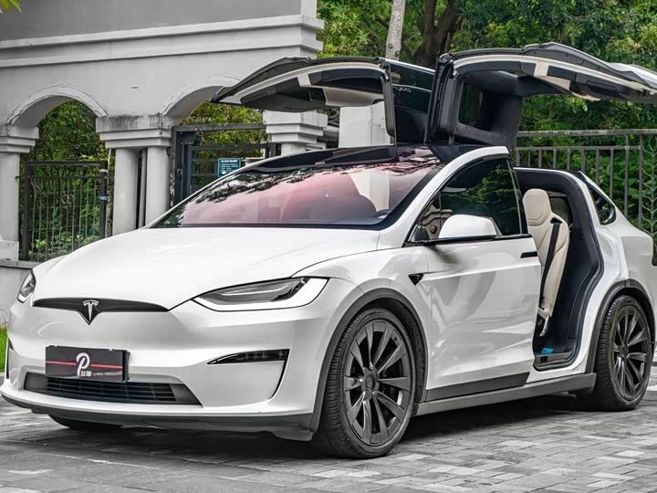 Фото 3 - Tesla Model X
