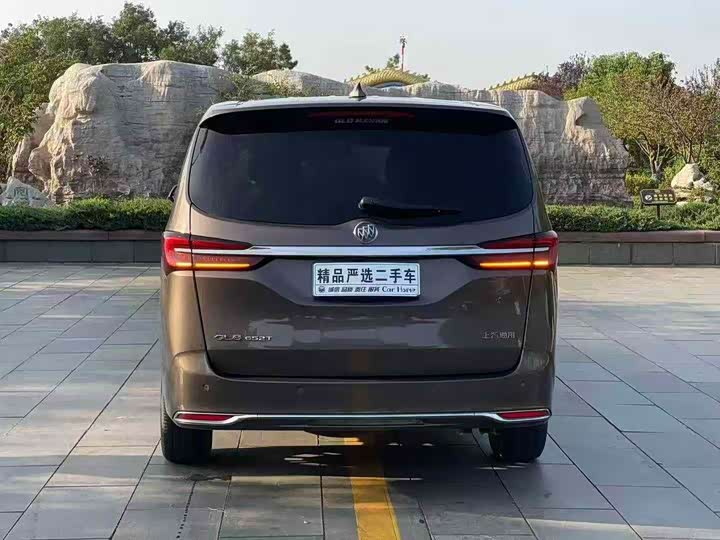 Фото 5 - Buick GL8 ES