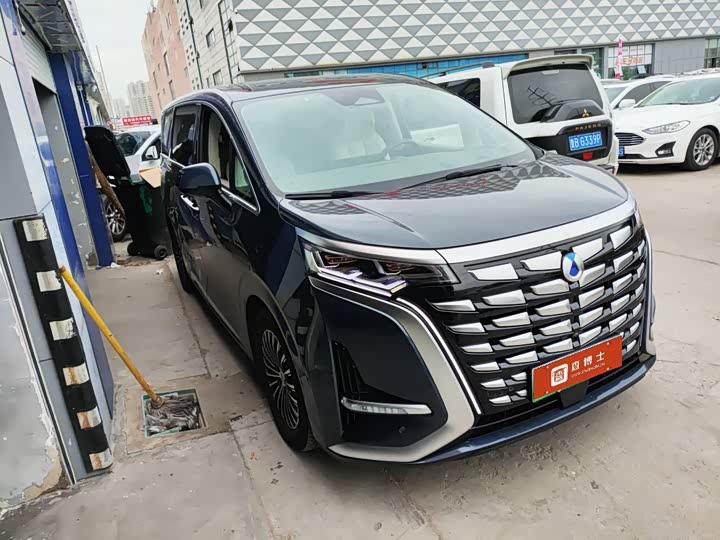 Фото 2 - Denza D9