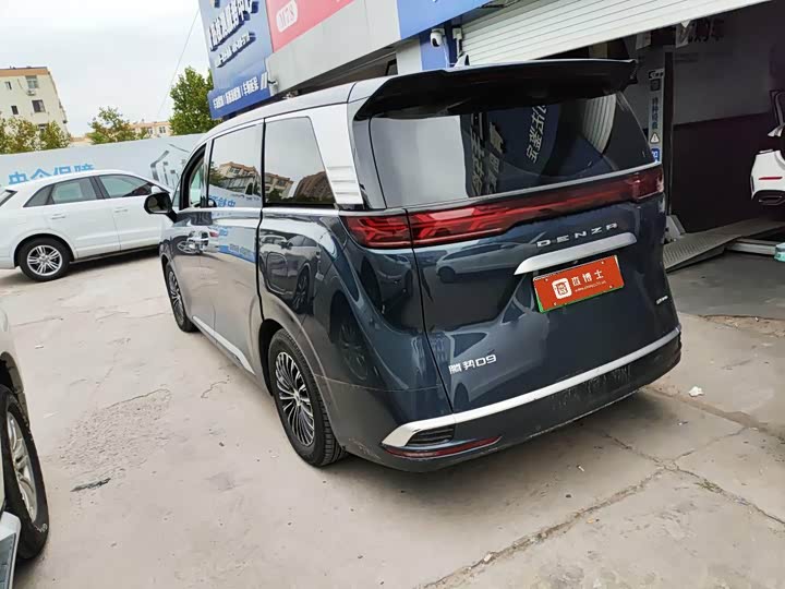 Фото 3 - Denza D9