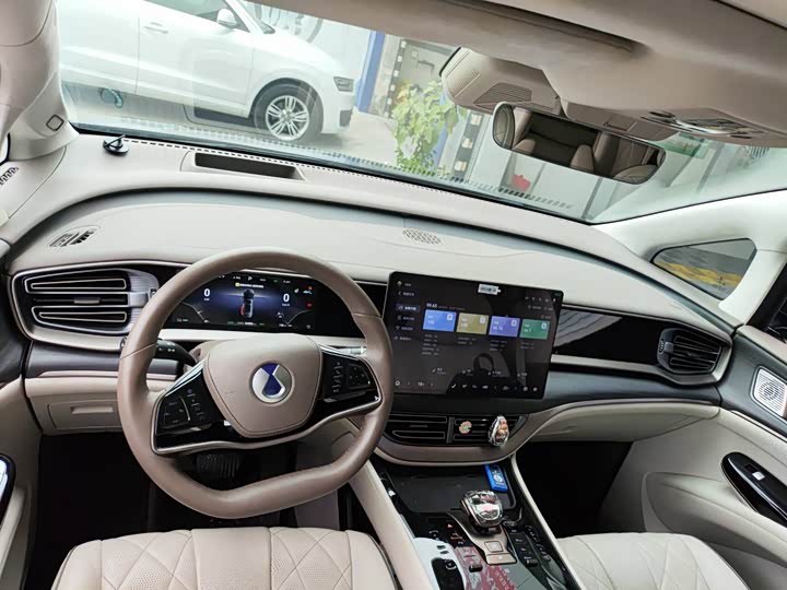 Фото 5 - Denza D9