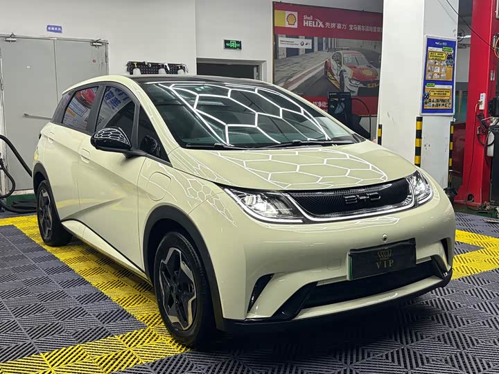 Фото 1 - BYD Dolphin