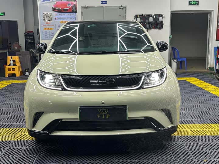 Фото 2 - BYD Dolphin