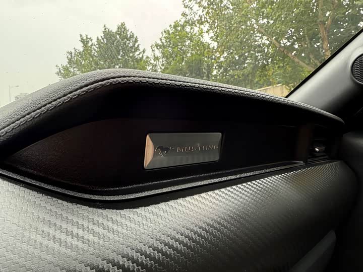 Фото 12 - Ford Mustang