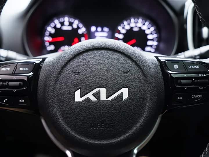 Фото 23 - Kia KX1