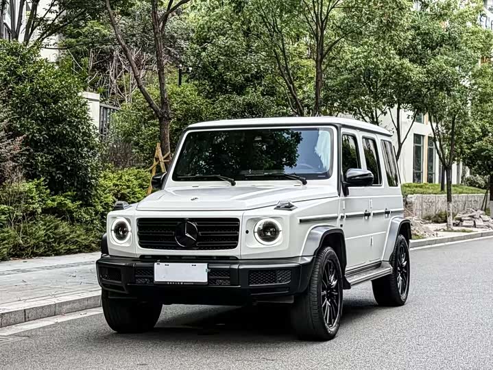 Фото 1 - Mercedes-Benz G-Class