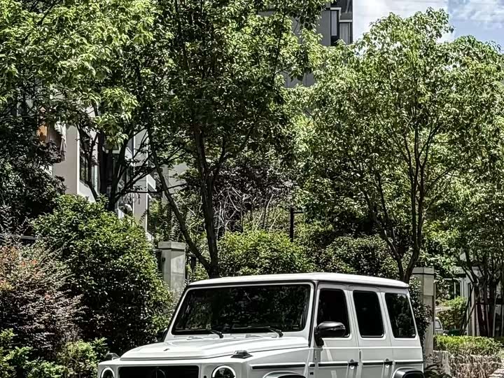 Фото 4 - Mercedes-Benz G-Class