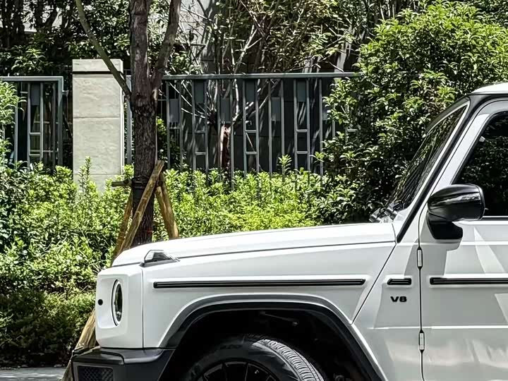 Фото 5 - Mercedes-Benz G-Class
