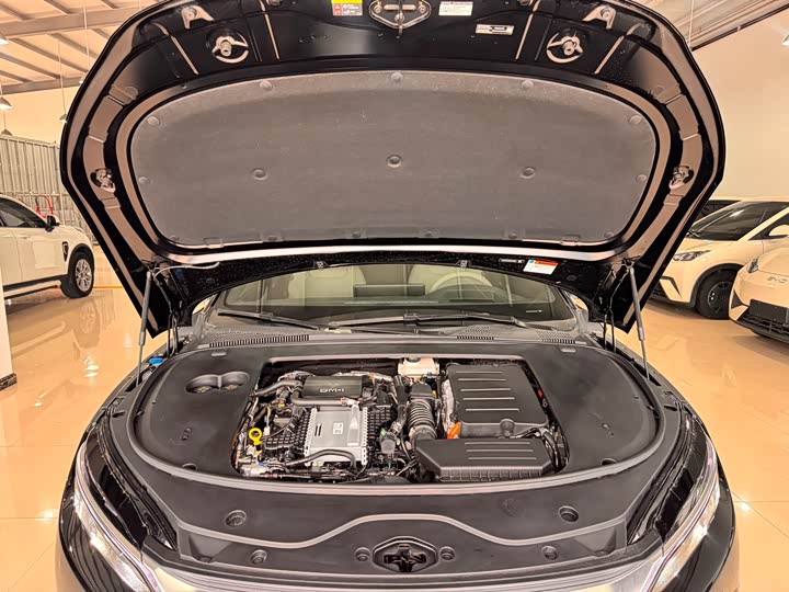 Фото 18 - BYD Han