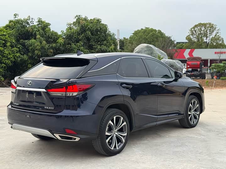 Фото 8 - Lexus RX