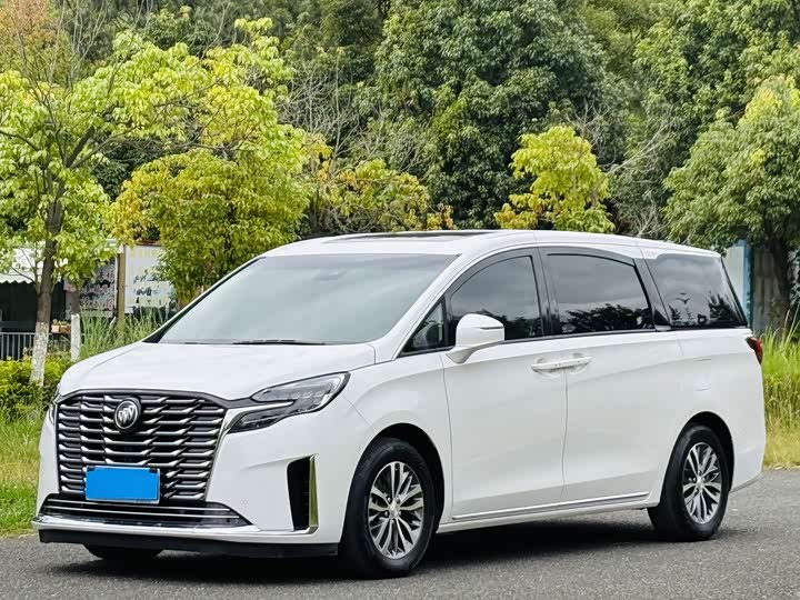 Фото 1 - Buick GL8 ES