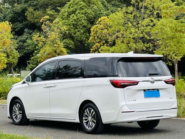 Фото 5 - Buick GL8 ES