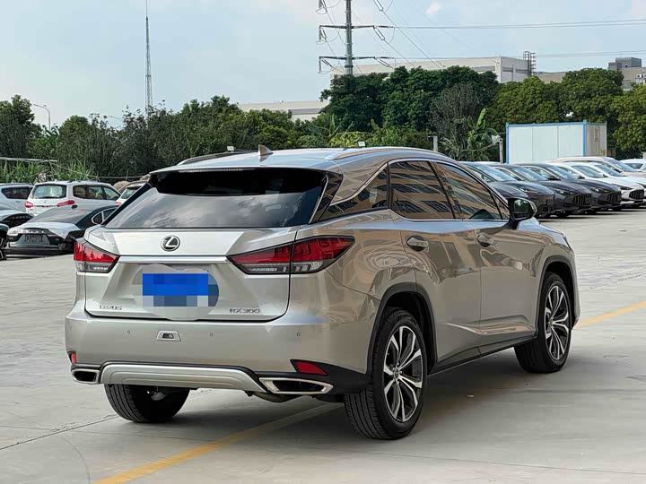 Фото 8 - Lexus RX