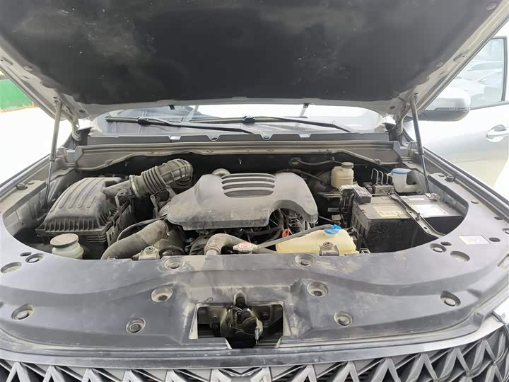 Фото 15 - Great Wall Pao