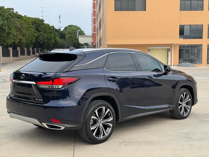 Фото 8 - Lexus RX