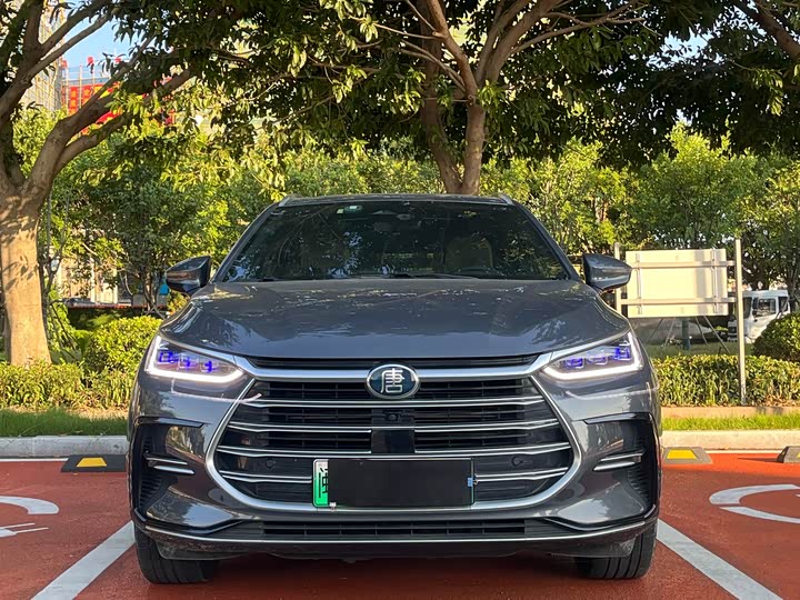 Фото 2 - BYD Tang Hybrid/EV