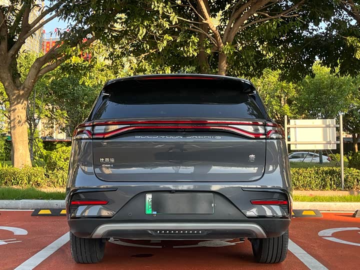 Фото 8 - BYD Tang Hybrid/EV