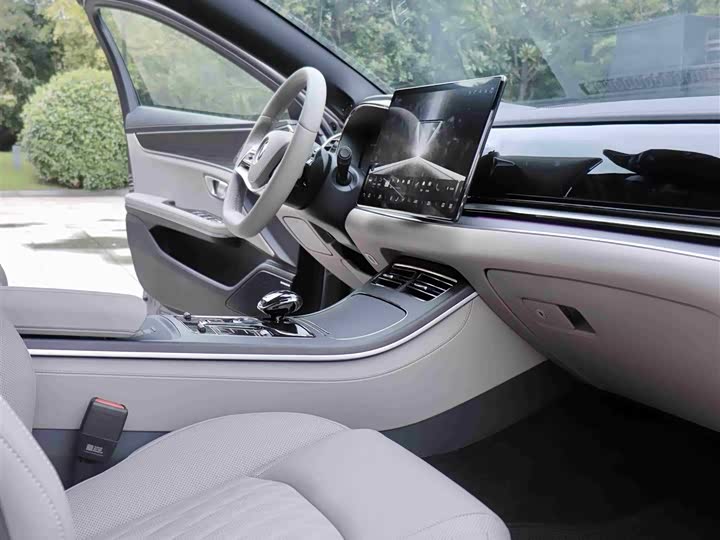 Фото 14 - BYD Han