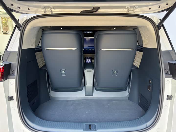 Фото 19 - Buick GL8 Century